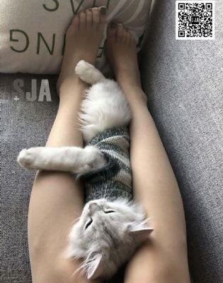 入禽太深免费高清视频5_1080全集在线观看
