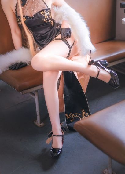 猫娘乐园_超清HD在线观看